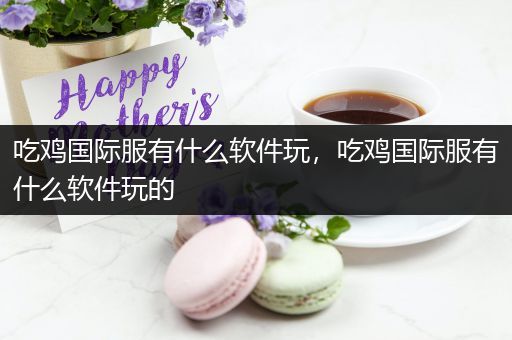 吃鸡国际服有什么软件玩，吃鸡国际服有什么软件玩的