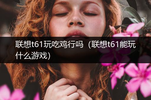 联想t61玩吃鸡行吗（联想t61能玩什么游戏）