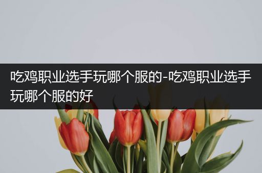 吃鸡职业选手玩哪个服的-吃鸡职业选手玩哪个服的好
