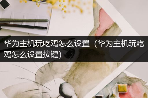 华为主机玩吃鸡怎么设置（华为主机玩吃鸡怎么设置按键）