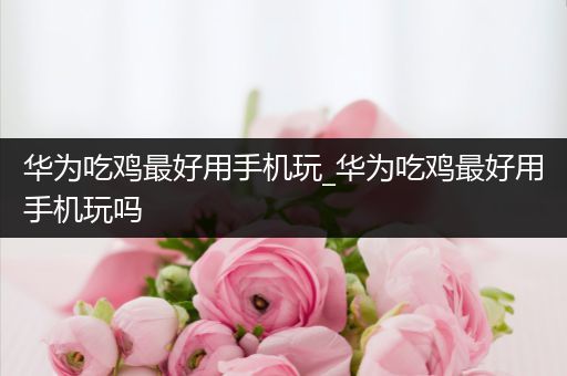 华为吃鸡最好用手机玩_华为吃鸡最好用手机玩吗