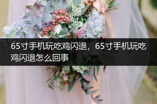 65寸手机玩吃鸡闪退，65寸手机玩吃鸡闪退怎么回事