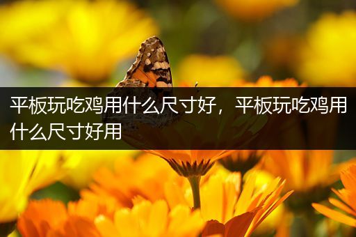 平板玩吃鸡用什么尺寸好，平板玩吃鸡用什么尺寸好用