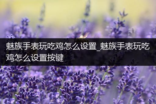 魅族手表玩吃鸡怎么设置_魅族手表玩吃鸡怎么设置按键