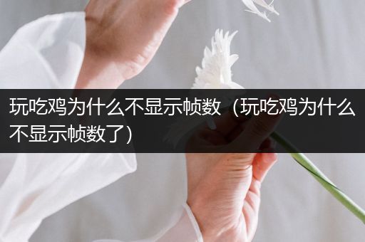 玩吃鸡为什么不显示帧数（玩吃鸡为什么不显示帧数了）