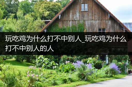 玩吃鸡为什么打不中别人_玩吃鸡为什么打不中别人的人