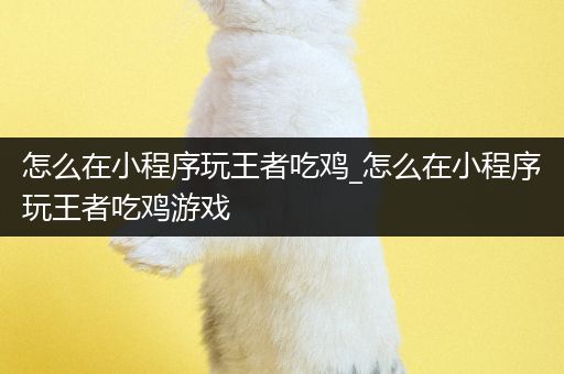 怎么在小程序玩王者吃鸡_怎么在小程序玩王者吃鸡游戏