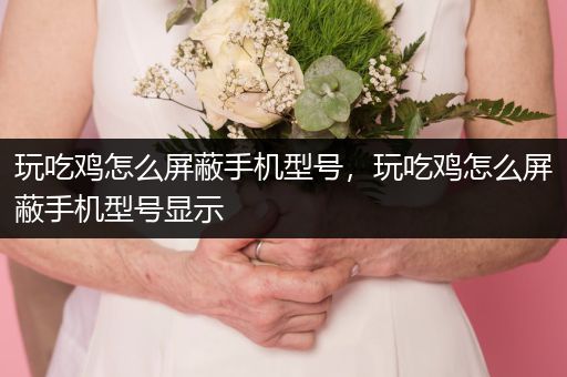 玩吃鸡怎么屏蔽手机型号，玩吃鸡怎么屏蔽手机型号显示