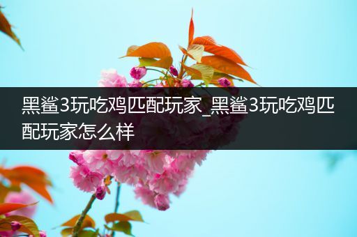 黑鲨3玩吃鸡匹配玩家_黑鲨3玩吃鸡匹配玩家怎么样