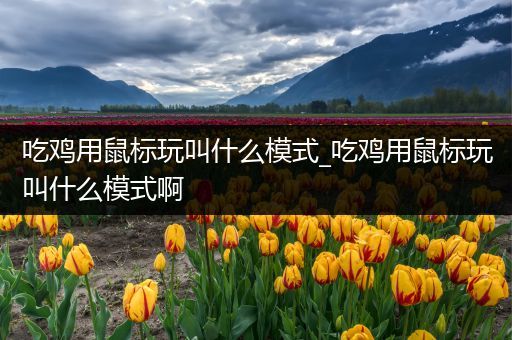 吃鸡用鼠标玩叫什么模式_吃鸡用鼠标玩叫什么模式啊