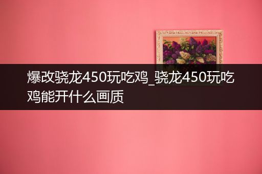 爆改骁龙450玩吃鸡_骁龙450玩吃鸡能开什么画质