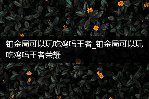 铂金局可以玩吃鸡吗王者_铂金局可以玩吃鸡吗王者荣耀