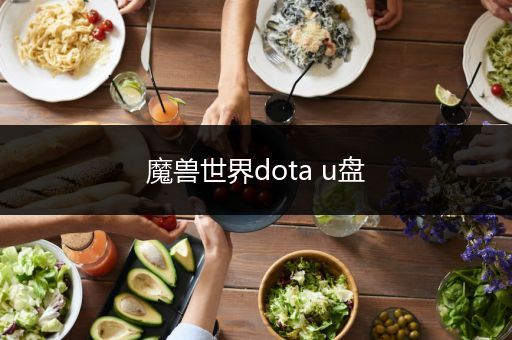 魔兽世界dota u盘