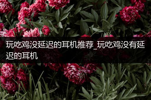 玩吃鸡没延迟的耳机推荐_玩吃鸡没有延迟的耳机