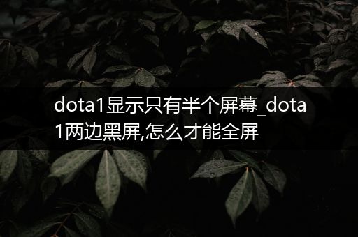 dota1显示只有半个屏幕_dota1两边黑屏,怎么才能全屏