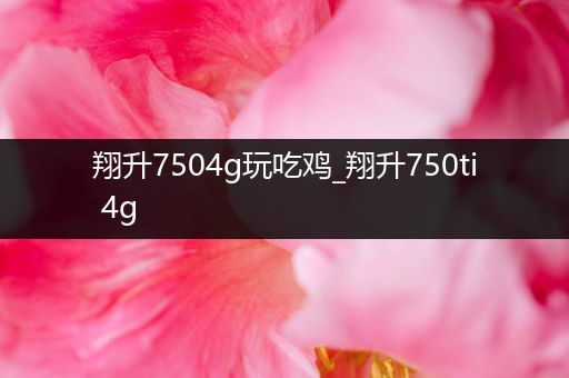 翔升7504g玩吃鸡_翔升750ti 4g