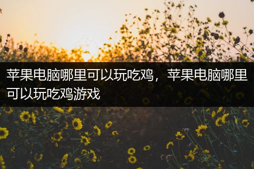 苹果电脑哪里可以玩吃鸡，苹果电脑哪里可以玩吃鸡游戏