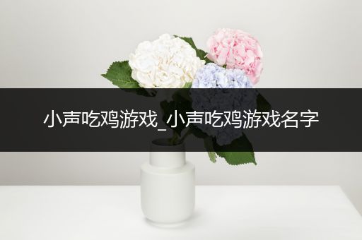小声吃鸡游戏_小声吃鸡游戏名字