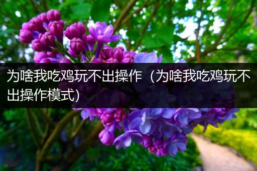 为啥我吃鸡玩不出操作（为啥我吃鸡玩不出操作模式）