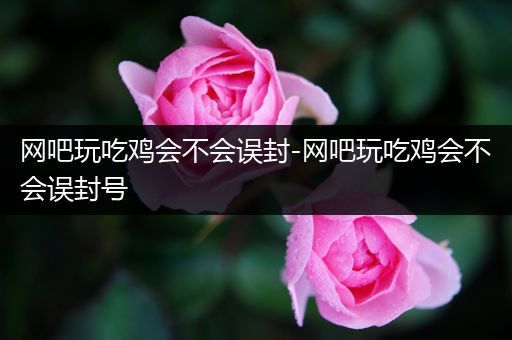 网吧玩吃鸡会不会误封-网吧玩吃鸡会不会误封号