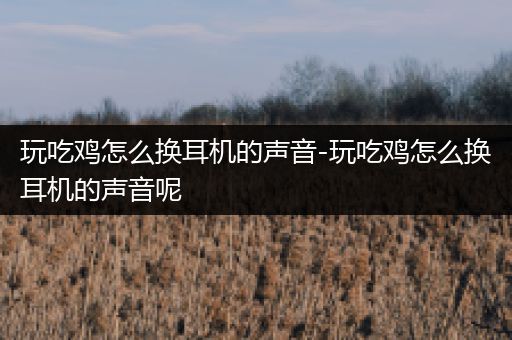 玩吃鸡怎么换耳机的声音-玩吃鸡怎么换耳机的声音呢
