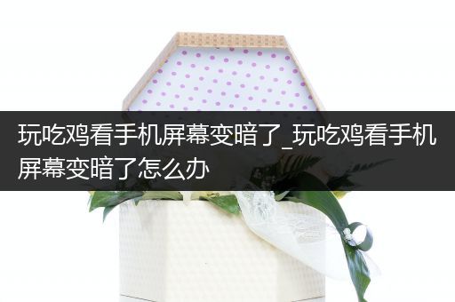 玩吃鸡看手机屏幕变暗了_玩吃鸡看手机屏幕变暗了怎么办