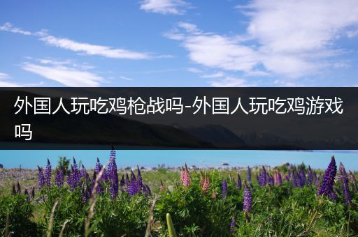 外国人玩吃鸡枪战吗-外国人玩吃鸡游戏吗