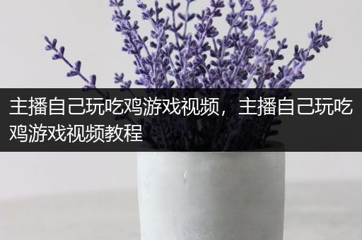 主播自己玩吃鸡游戏视频，主播自己玩吃鸡游戏视频教程