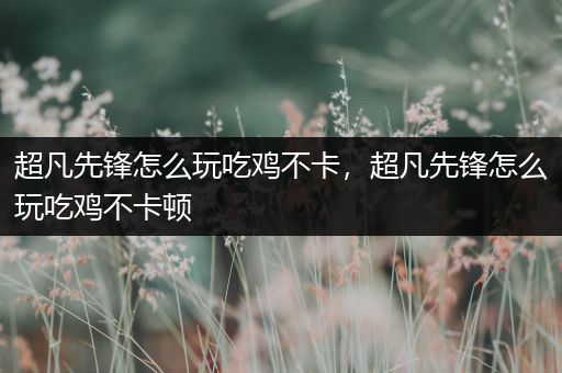 超凡先锋怎么玩吃鸡不卡，超凡先锋怎么玩吃鸡不卡顿