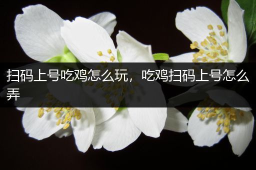 扫码上号吃鸡怎么玩，吃鸡扫码上号怎么弄
