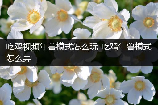吃鸡视频年兽模式怎么玩-吃鸡年兽模式怎么弄