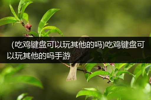 （吃鸡键盘可以玩其他的吗)吃鸡键盘可以玩其他的吗手游