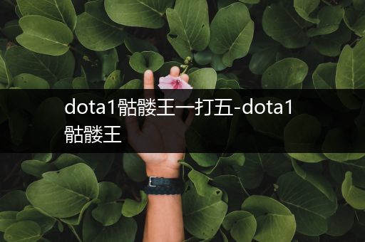 dota1骷髅王一打五-dota1 骷髅王