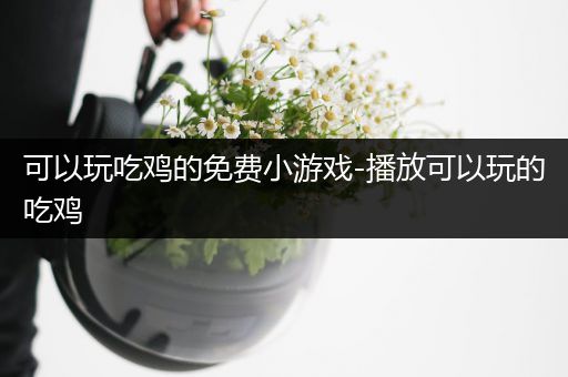 可以玩吃鸡的免费小游戏-播放可以玩的吃鸡