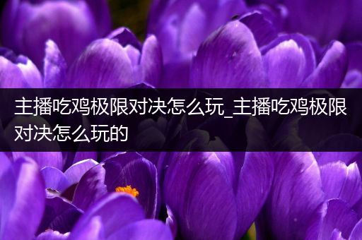主播吃鸡极限对决怎么玩_主播吃鸡极限对决怎么玩的