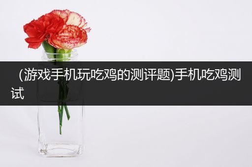 （游戏手机玩吃鸡的测评题)手机吃鸡测试