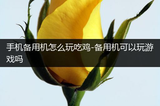 手机备用机怎么玩吃鸡-备用机可以玩游戏吗