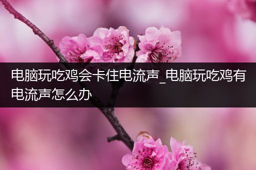 电脑玩吃鸡会卡住电流声_电脑玩吃鸡有电流声怎么办