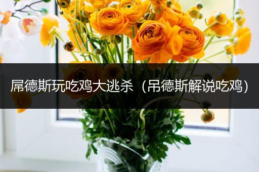 屌德斯玩吃鸡大逃杀（吊德斯解说吃鸡）