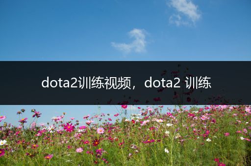 dota2训练视频，dota2 训练