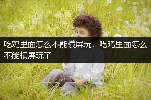 吃鸡里面怎么不能横屏玩，吃鸡里面怎么不能横屏玩了