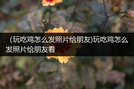 （玩吃鸡怎么发照片给朋友)玩吃鸡怎么发照片给朋友看