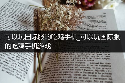 可以玩国际服的吃鸡手机_可以玩国际服的吃鸡手机游戏