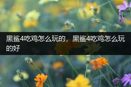 黑鲨4吃鸡怎么玩的，黑鲨4吃鸡怎么玩的好