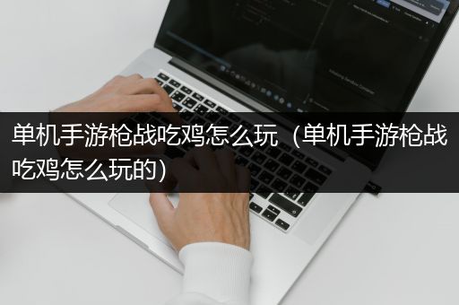 单机手游枪战吃鸡怎么玩（单机手游枪战吃鸡怎么玩的）