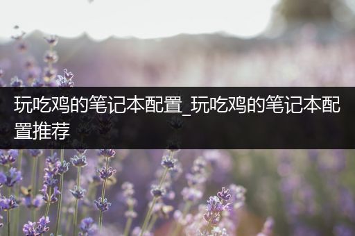 玩吃鸡的笔记本配置_玩吃鸡的笔记本配置推荐