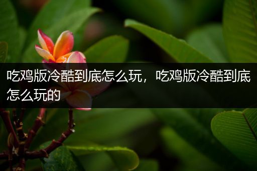 吃鸡版冷酷到底怎么玩，吃鸡版冷酷到底怎么玩的
