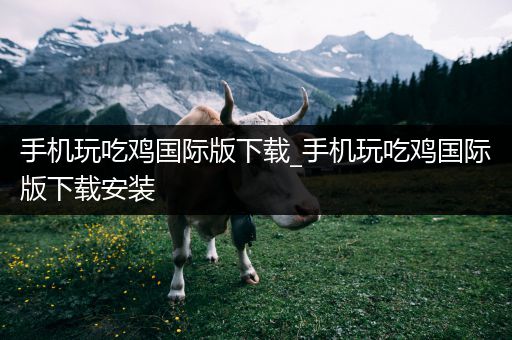 手机玩吃鸡国际版下载_手机玩吃鸡国际版下载安装