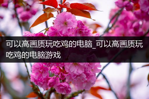 可以高画质玩吃鸡的电脑_可以高画质玩吃鸡的电脑游戏