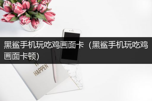 黑鲨手机玩吃鸡画面卡（黑鲨手机玩吃鸡画面卡顿）